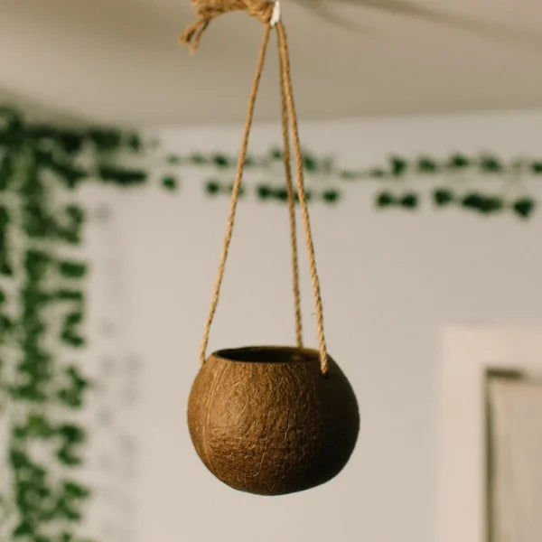 Coconut Hanging Planters